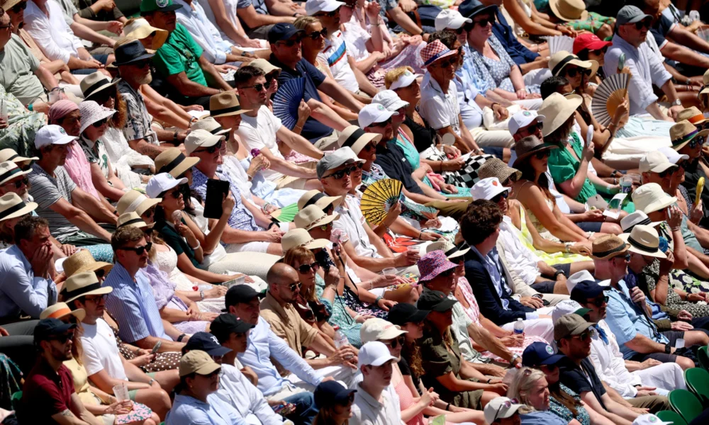 Wimbledon Crowd Celebrities