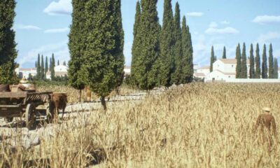 A Roadway Near Timgad Credit Itiner E Artas Media