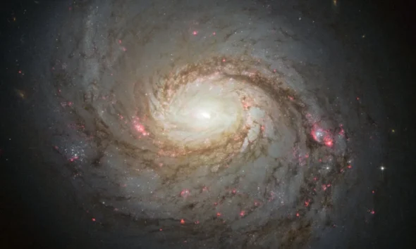 Dark Matter And Antimatter