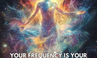 Power Of Your Frequency