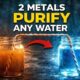 Two Metals Purifies